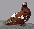 Mottled red