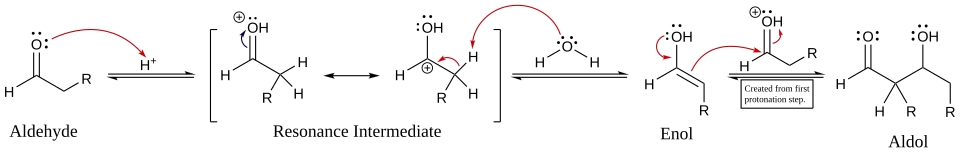 Mechanism for acid-catalyzed aldol reaction of an aldehyde with itself