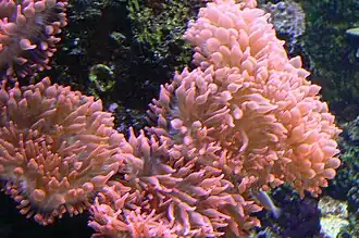 A group of individuals