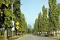 Entrance boulevard at Gong Badak campus