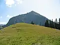 Entschenkopf (2043 m)