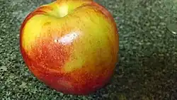 Whole Envy apple on the stone countertop with coin positioned out-of-focus to the right.