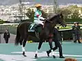 Radio Nikkei Hai Nisai Stakes
