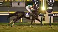 Winning the Japan Cup