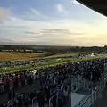 Image 24Epsom Downs, a racecourse which hosts The Derby annually. One of four in the county. (from Portal:Surrey/Selected pictures)