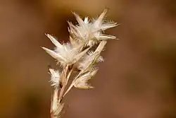 alt=Refer to caption