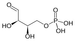 2D representation of the chemical structure of erythrose 4-phosphate .