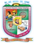 Official seal of Domingo Arenas