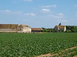 The chateau in Esmans