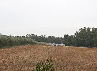 Squires Winery seen from Murray Valley Highway