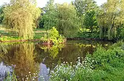 Pond Arboretum de la Tuillière