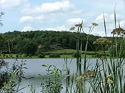 Brandon Pond