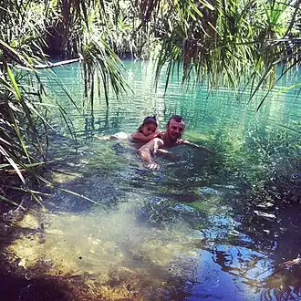 A quiet pool, at the Lower Pool of Berry Springs swimming holes