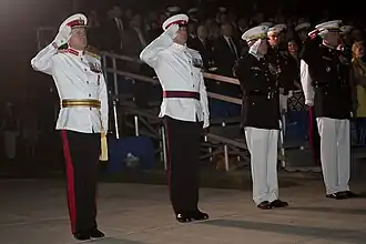 No 1AW variants worn by a Major General, left and a Warrant Officer, right.