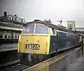 Western Emperor in rail blue livery
