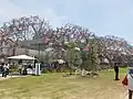 Panasonic Pavilion