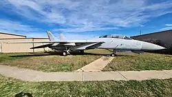 F-14 Tomcat
