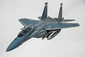 From 2031, fifty F-15IAs, based on the USAF's new F-15EX Eagle II, will replace the aging F-15A/B/C/D Baz at Tel Nof