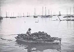Sponger
