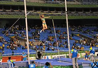 Image 26The pole vault competition at the 2007 Pan American Games (from Track and field)