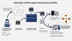 The process of fabricating DNA origami
