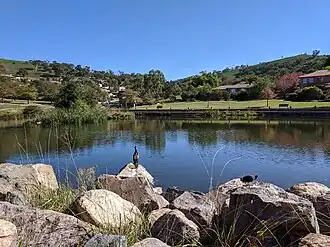 Fadden Hills Pond