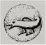 Tarasque on a coin struck under King René's rule