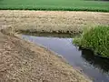 The confluence of the Ronceva with the Flöthe