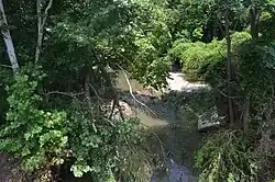 Fall Creek, seen from the Illinois Route 57 bridge