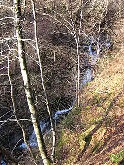 Long tortuous water fall in creek with bare woodland