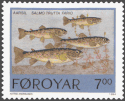 FR 250: Áarsíl - brown trout (Salmo trutta fario)