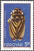 FR 266: Anoscopus flavostriatus