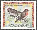 FR 307: Reyðkollur - redpoll (Carduelis flammea)
