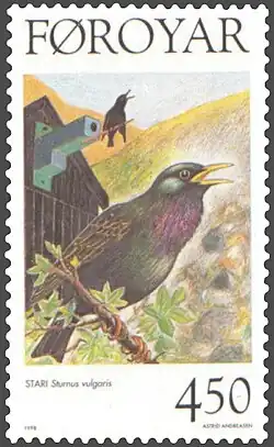 FR 325: Starling (Sturnus vulgaris faeroensis)