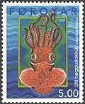 FO 409: Lítli høgguslokkur (Sepiola atlantica) ten armed squid