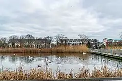 View from Father Collins Park