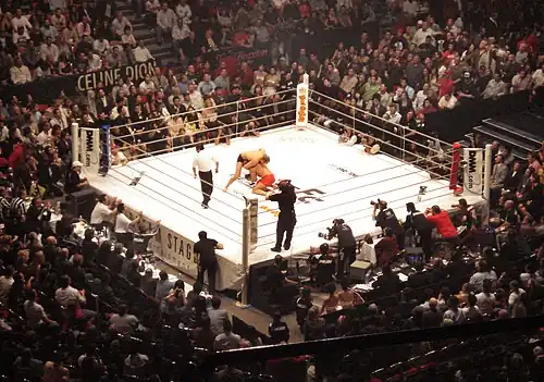 Image 38A ring used by PRIDE (from Mixed martial arts)