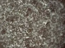 Microscope image depicting many tiny thin translucent crystals