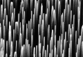 Field emitter array
