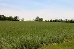 Field in Dorrance Township on Saint Marys Road