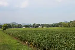 Field in Wolf Township
