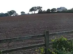 Field next to the B3184 near the A30, looking south-west toward Spain Farm