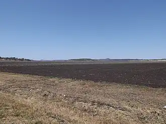 Fields along Toowoomba Cecil Plains Road, 2014