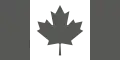 Air Command Fin Flash