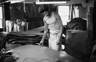 Finish grading the leather, October 1975