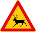 Animals (Reindeer)