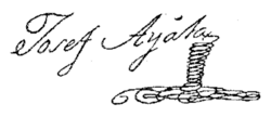 image of the Signature of José de Ayala y Vergara