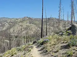 Fisher Creek Trail