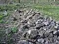 Ancient fishing weir