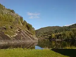 Stavnselva